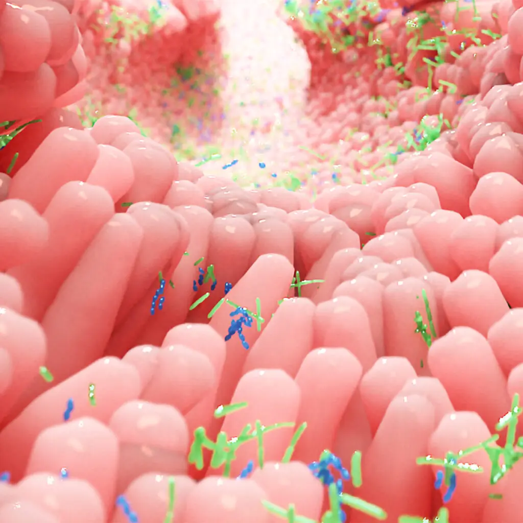 microbiota intestinale